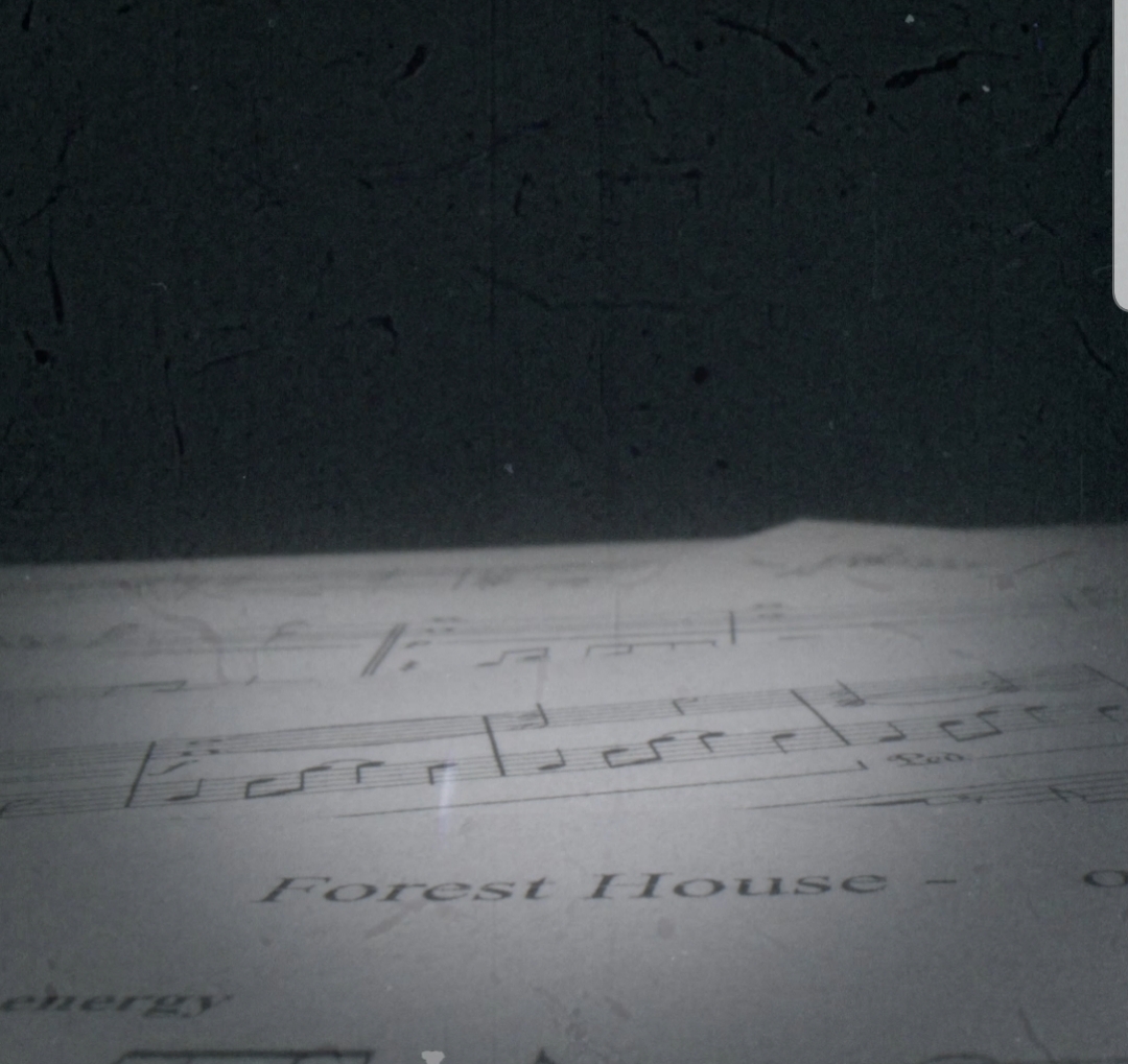 Image for article: Forest House