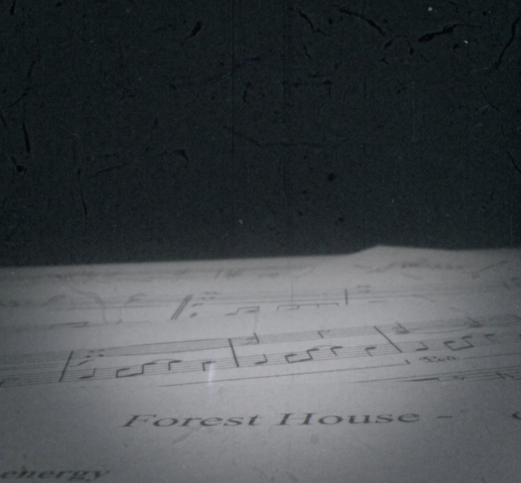 Image for article: Forest House #dovesleak Competition Entries